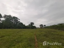  Terreno (Parcela) en venta en Alajuela, Guatuso, Alajuela