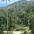  Land for sale in Koh Samui Surat Thani, Maret, Koh Samui, Surat Thani