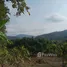 ขายที่ดิน ใน สันทราย, เชียงใหม่, สันทราย, พร้าว, เชียงใหม่
