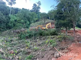  Grundstück zu verkaufen in Thalang, Phuket, Sakhu