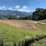 在Medellin, Antioquia出售的 土地, Medellin