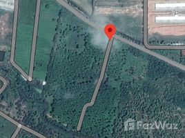  Land for sale in Lamphun, Nakhon Chedi, Pa Sang, Lamphun