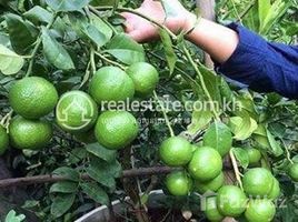 Студия Квартира на продажу в តេីបងប្អូនចង់បានដីចម្ការដែលអាចបង់រំលោះបានដែរទេ? រំលោះ​ត្រឹមតែ​ 208$/ខែ​ តែប៉ុណ្ណោះ, Pramaoy, Veal Veaeng, Pursat, Камбоджа