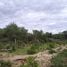  Land for sale in San Luis, Ayacucho, San Luis