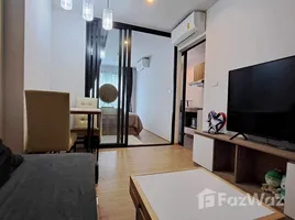 คอนโด สตูดิโอ ให้เช่า ในโครงการ ดิ เอ็กเซล ไฮด์ อะเวย์ สุขุมวิท 71, พระโขนงเหนือ, วัฒนา, กรุงเทพมหานคร