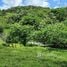 在哥斯达黎加出售的 房产, Tilaran, Guanacaste, 哥斯达黎加