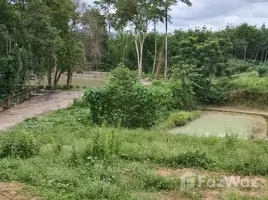 ขายที่ดิน ใน ทับปริก, กระบี่, ทับปริก, เมืองกระบี่, กระบี่