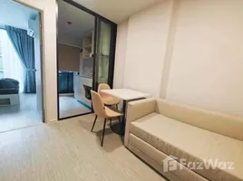 1 Schlafzimmer Wohnung zu vermieten im Atmoz Oasis Onnut, Suan Luang, Suan Luang, Bangkok, Thailand