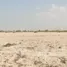 在 阿拉伯联合酋长国出售的 土地, Palm Jebel Ali, 迪拜, 阿拉伯联合酋长国