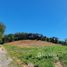  Land for sale in Thalang, Phuket, Pa Khlok, Thalang