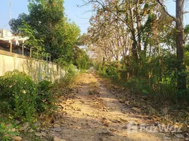 ขายที่ดิน ใน ป่าสัก, ลำพูน, ป่าสัก