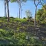  Land for sale in Koh Samui Surat Thani, Bo Phut, Koh Samui, Surat Thani