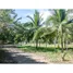  Land for sale in Puntarenas, Aguirre, Puntarenas