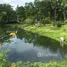 2 Bedroom Villa for sale in Kanchanaburi, Lin Thin, Thong Pha Phum, Kanchanaburi