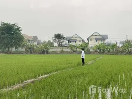 ขายที่ดิน ใน หนองหาร, เชียงใหม่, หนองหาร, สันทราย, เชียงใหม่