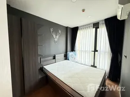 คอนโด 1 ห้องนอน ให้เช่า ในโครงการ เดอะ สเปซ คอนโดมิเนียม, วิชิต