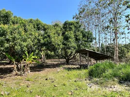  Terrain for sale in Mae Taeng, Chiang Mai, Khi Lek, Mae Taeng