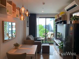 1 Bedroom Apartment for rent at Ideo O2, Bang Na