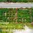  Land for sale in Thang Kwian, Rayong, Thang Kwian, Klaeng