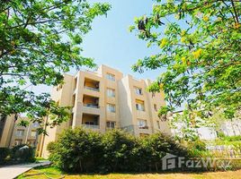 1 Bedroom Apartment for sale at The Village, South Investors Area