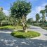 4 Bedroom Townhouse for sale at Azalea, Layan Community