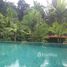 3 Bedrooms Villa for sale in Sakhu, Phuket Casa Sakoo Resort