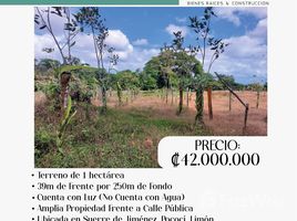  Land for sale in Costa Rica, Pococi, Limon, Costa Rica