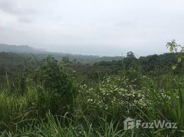  Land for sale in Santa Elena, Santa Elena, Manglaralto, Santa Elena