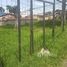  Land for sale in San Pablo, Heredia, San Pablo