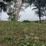  Земельный участок for sale in Pa Khlok, Пхукет, Pa Khlok, Тхаланг