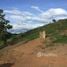  Terrain for sale in Mae Hong Son, Wiang Nuea, Pai