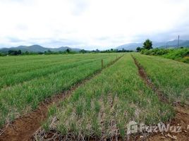  Land for sale in Lamphun, Nakhon Chedi, Pa Sang, Lamphun