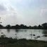  Land for sale in Bang Len, Nakhon Pathom, Bang Len, Bang Len, Nakhon Pathom, Thailand