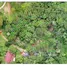 ขายที่ดิน ใน ภูเก็ต, เชิงทะเล, ถลาง, ภูเก็ต