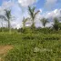  Terrain for sale in Colombie, Puerto Narino, Amazonas, Colombie