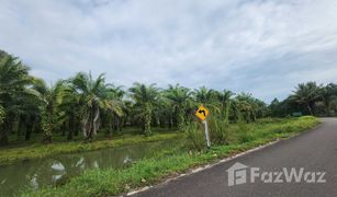 N/A Grundstück zu verkaufen in Khok Kloi, Phangnga 