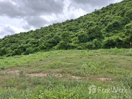  Grundstück zu verkaufen in Pran Buri, Prachuap Khiri Khan, Pak Nam Pran, Pran Buri, Prachuap Khiri Khan, Thailand