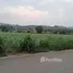  Land for sale in Khlong Muang, Nakhon Ratchasima, Khlong Muang, Pak Chong