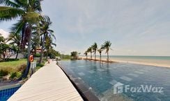 图片 3 of the Communal Pool at Boathouse Hua Hin