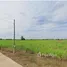  Land for sale in Thailand, Thep Nakhon, Mueang Kamphaeng Phet, Kamphaeng Phet, Thailand