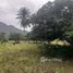  Land for sale in Sam Roi Yot, Hua Hin, Sam Roi Yot, Sam Roi Yot, Prachuap Khiri Khan