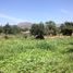  Land for sale in Buin, Maipo, Buin