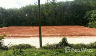 N/A Grundstück zu verkaufen in Sakhu, Phuket 