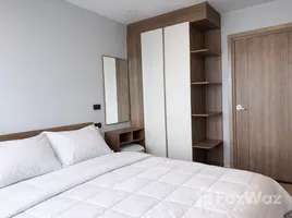 ขายอพาร์ทเม้นท์ 1 ห้องนอน ในโครงการ เสปซ เชิงทะเล คอนโดมิเนียม, เชิงทะเล