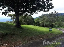  Grundstück zu verkaufen in Chame, Panama Oeste, Sora