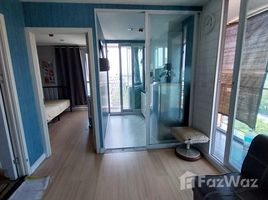 ขายคอนโด 1 ห้องนอน ในโครงการ เมย์แฟร์ เพลส สุขุมวิท 64, บางจาก, พระโขนง