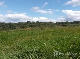  Land for sale in Amazonas, Presidente Figueiredo, Presidente Figueiredo, Amazonas