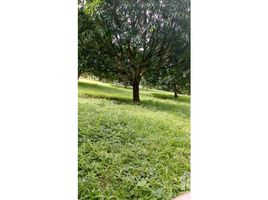  Land for sale in Alajuela, Atenas, Alajuela