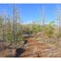  Terrain for sale in Liberia, Guanacaste, Liberia