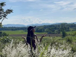 ขายที่ดิน ใน ป่าซาง, เชียงราย, ป่าซาง, แม่จัน